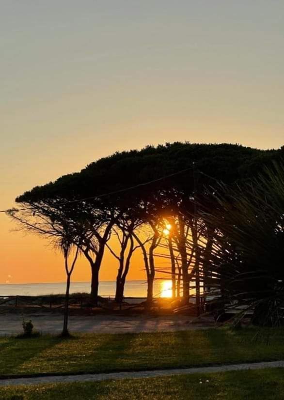 La Perla Del Mare Bed and Breakfast La Caletta Buitenkant foto